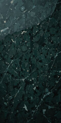 A close-up of dark marble with intricate patterns and textures.