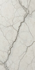 Obraz premium A close-up view of a textured marble surface with intricate veins.