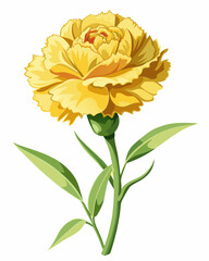 A vibrant yellow carnation flower illustration.