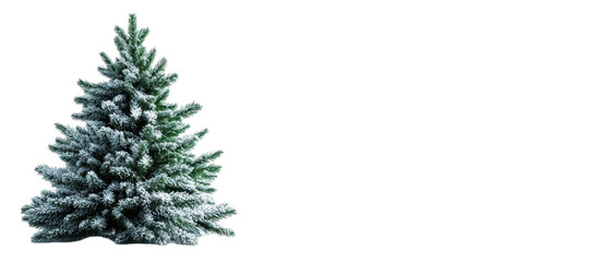 Fototapeta premium Snow-covered evergreen tree in winter scenery. transparent background
