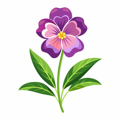 A vibrant purple flower with pink accents and green leaves.