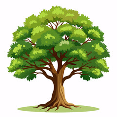 A lush green tree canopy with dense foliage and branches.