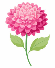 A vibrant pink flower illustration with layered petals.