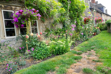 Cultivated garden and flower around building