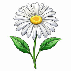 A detailed illustration of a daisy flower with vibrant colors.