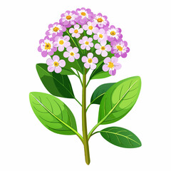 A vibrant bouquet of pink flowers with green leaves.