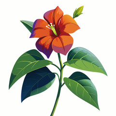 A vibrant orange flower with green leaves on a white background.