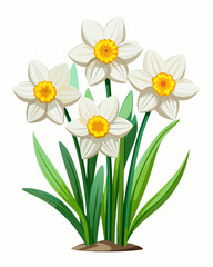 A cluster of daffodils with white petals and yellow centers.
