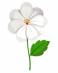 A stylized illustration of a white flower with yellow and red details.