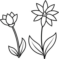 Line art Flower vector illustration, Line art Flower icon, Line art Flower silhouette vector design