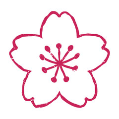 版画風の桜の花のイラスト　背景透過