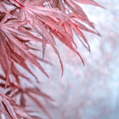 Delicate Pink Maple Leaves  Autumn Nature Background  Soft Focus Bokeh