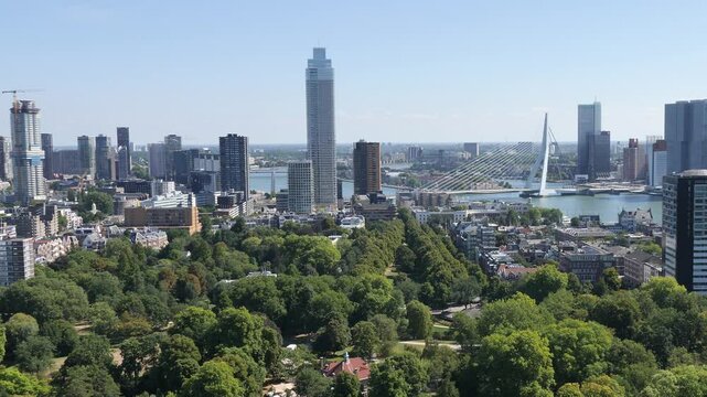 Erasmus bridge in Rotterdam harbor the Netherlands on summer day