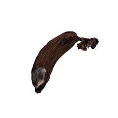 Dried blackened banana of PNG
