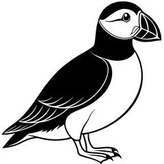 black and cartoon Puffin bird
