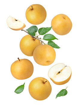 Asian pear (snow pear, Korean pear) with half slice isolated on transparent background.
