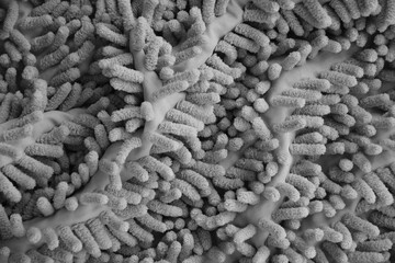 Processed image of fluffy gray doormat from bathroom in grey color