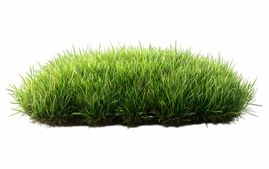 Lush green grass tuft, isolated, white background, nature design element