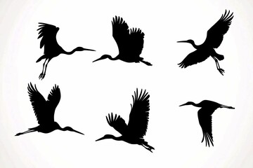 Obraz premium This bird silhouette collection features elegant black outlines of diverse species in flight and at rest, perfect for nature-inspired artwork and educational resources.