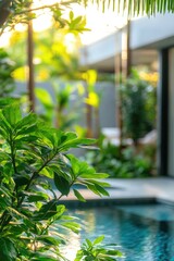 Obraz premium Pool Surrounded by Greenery