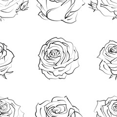 Seamless pattern with hand drawn rose flowers on white. Vector floral sketch background. Summer botanical doodle illustration. Monochrome outline design good for print fabric, wrapping paper, web