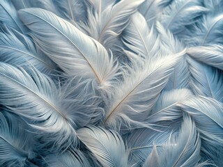 Fototapeta premium Avian detail in elegant grey and white: soft plumage, natural texture, feathery wallpaper design.