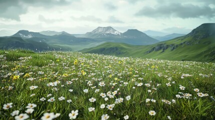 Obraz premium Serene Mountain Meadow: A breathtaking view of a vibrant wildflower meadow nestled amidst majestic mountains under a cloudy sky.