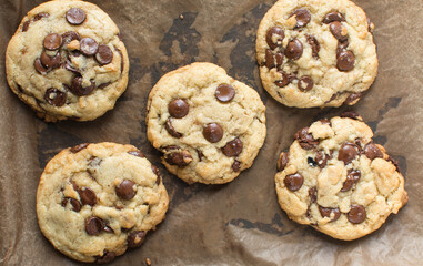 Large homemade chocolate chip cookies on a lined cookie tray, top view of bakery style chocolate chip cookies