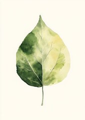 minimalistic watercolor painted leaf, 5:7