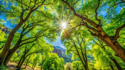 Obraz premium Spring Mountain Ranch State Park showcases stunning high-resolution spring treetop images.