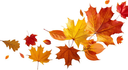 Vibrant Autumn Leaves Falling Red Orange Yellow Maple Foliage Seasonal Nature Background