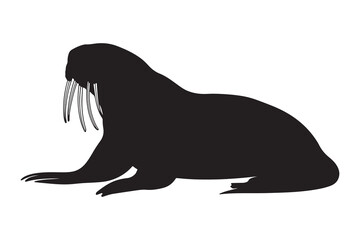 Walrus Silhouette Vector illustration