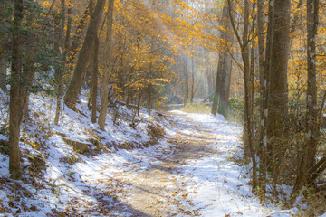 snowy hiking trail in late fall