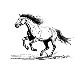 horse run engraving black and white outline