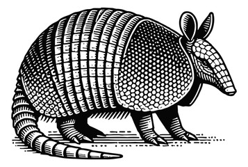 armadillo engraving black and white outline