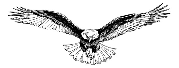 bald eagle fly engraving black and white outline