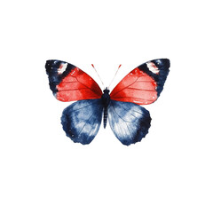 Obraz premium A vividly colored butterfly with striking red and blue wings, showcasing intricate patterns and delicate features.