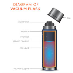 Illustration of Vacuum Flask Diagram Structure and Components Explained