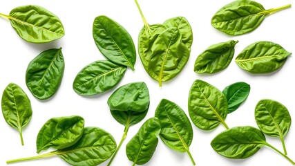 Fototapeta premium Fresh Spinach Leaves, Top View, Healthy Food, Flat Lay, High Quality AI Photo
