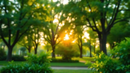 Fototapeta premium Lush Green Park Morning Sunlight Abstract AI Photo