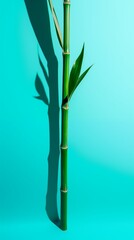 Obraz premium Green Stem on Cyan Gradient