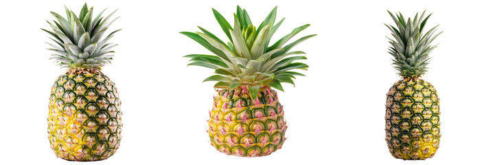 Fototapeta premium A vibrant display of three ripe pineapples showcasing their textured skin and lush green tops.