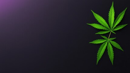 Psychedelic Neon-Colored Cannabis Leaves on Dark Background: A Modern Artistic Representation of Cannabis Culture.