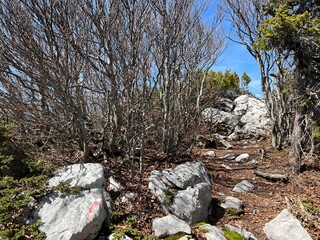 Velebit hiking trails and recreational walking paths - Northern Velebit National Park, Croatia (Velebitski planinarski putevi i rekreacijske šetačke staze - Nacionalni park Sjeverni Velebit, Hrvatska)