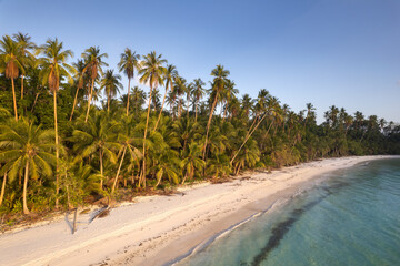 Paradise white sand beach, turquoise waters and tall coconut palm trees at the shore of a tropical island