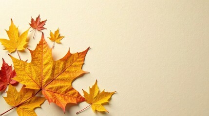 Fototapeta premium Autumnal Leaves Arranged on a Pale Background, a Seasonal Design Element for Festive Projects and Decorations