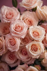 pink roses backdrop for wedding party and background