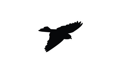 Obraz premium Flying Snowfinch Bird Silhouette Design And Vector Illustration. 