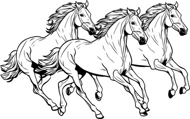 Handdrawn horse sketch