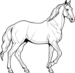 Handdrawn horse sketch